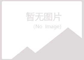 兰山区青丝工程有限公司